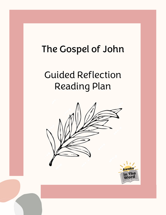 John - Reading Plan + Reflection Guide