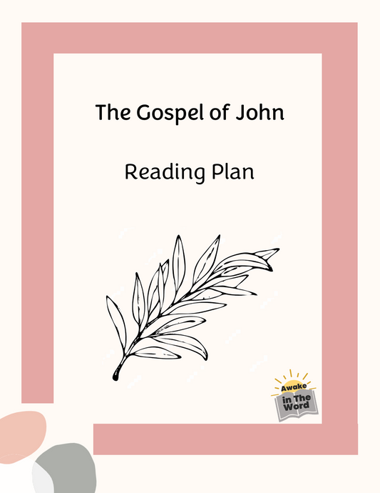 John - Reading plan
